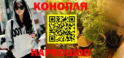 сатива Берёзовский