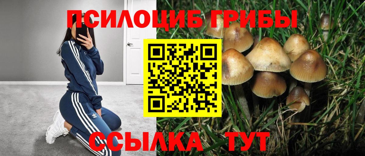 Галлюциногенные грибы Psilocybe  Вход с VPN  наркотики  Белебей 